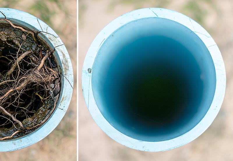 A side-by-side comparison image showing the interior of a blue pipe heavily clogged with tree roots on the left next to a completely cleared, clean pipe on the right.